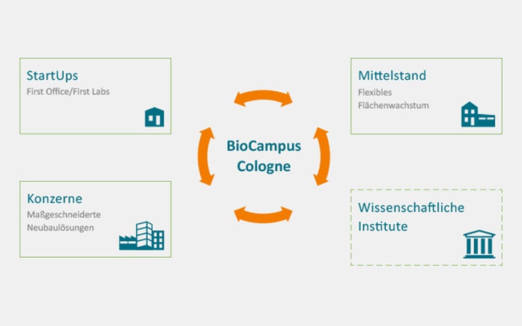 VV_Blog_BioCampus_2019_infografik2