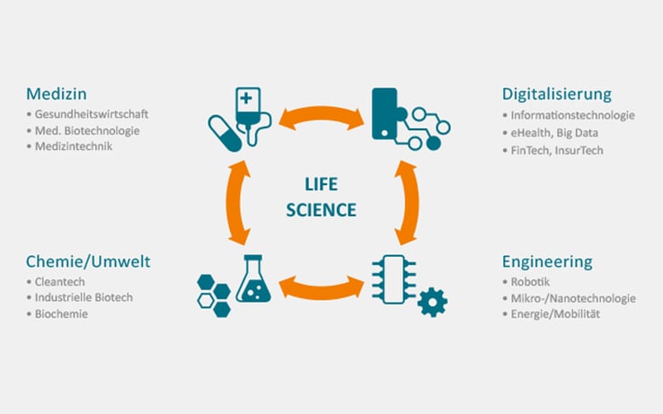 VV_Blog_BioCampus_2019_infografik1