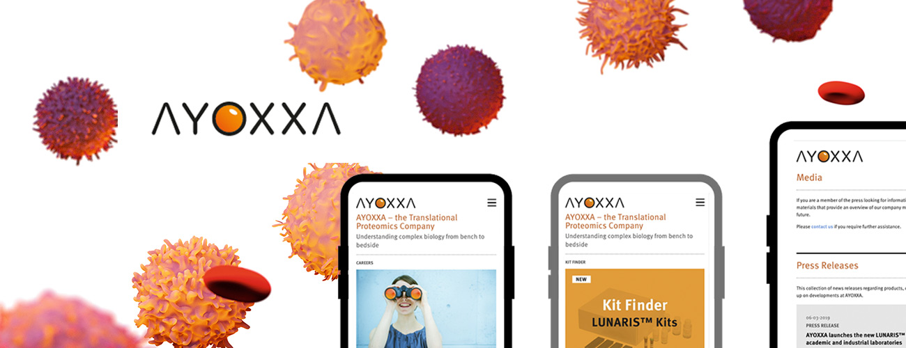 Ayoxxa_topbild_1300x500px