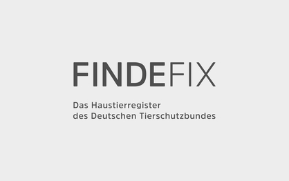 FINDEFIX_Name_Schriftzug_1920x1200