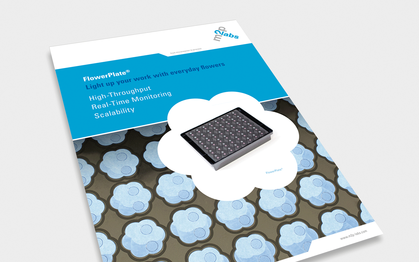 M2P_news_Titel_1_1440x900