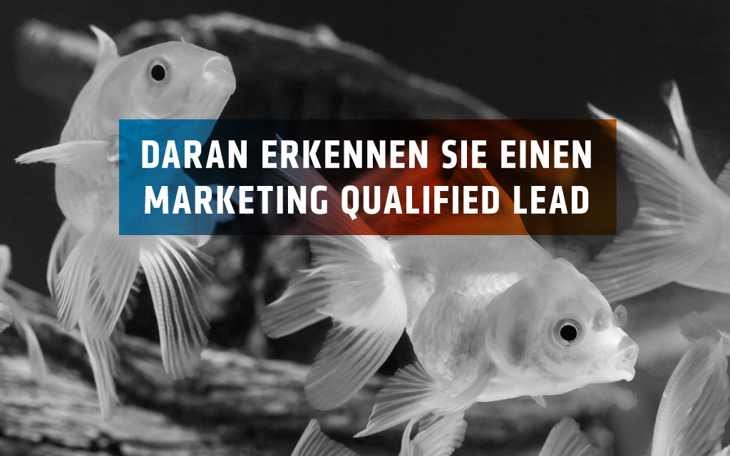 Was ist ein Marketing Qualified Lead (MQL)?