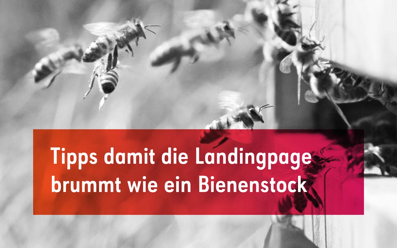 Diese 8 Elemente sollte eine optimale Landingpage enthalten