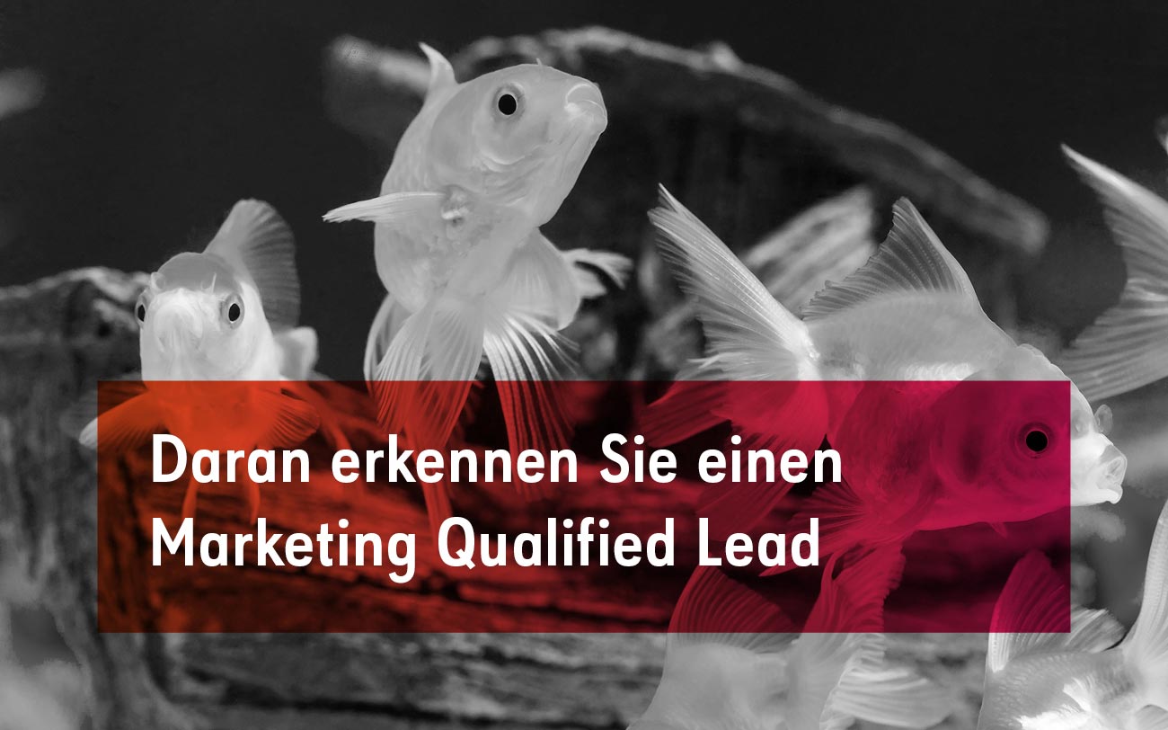 Was ist ein Marketing Qualified Lead (MQL)?