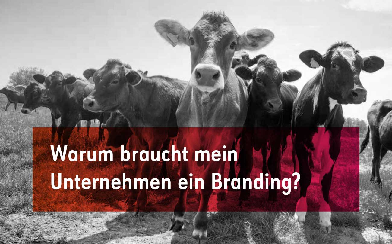 Warum braucht mein Unternehmen ein Branding?